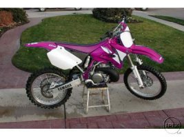 my bike in purple.jpg