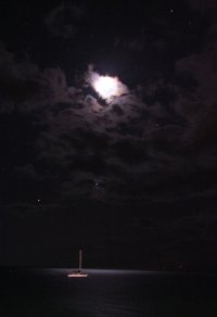 moon 7.jpg