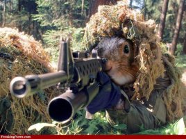 Squirrel Hunter.jpg