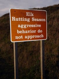 Rutting+elk+sign+6915.jpg