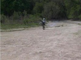 85 wheelie.jpg