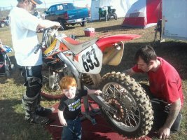 redbud 2010.jpg