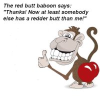 redmonkey.jpg