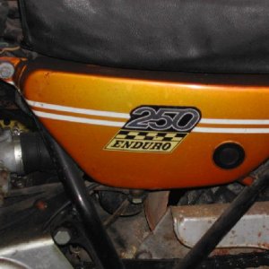 enduro 250 002lr.jpg