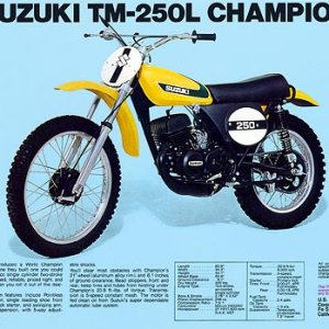 1974_TM250L_brochure_450.jpg