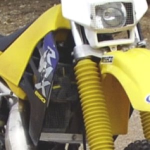 98 RMX250 -2b.jpg