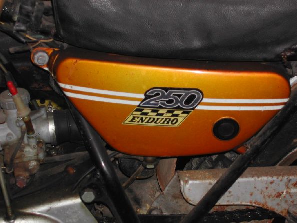 enduro 250 002lr.jpg