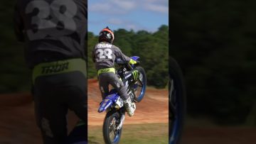 Do-what-makes-you-feel-alive