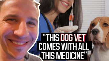 Broc-Sellards-about-why-he-lost-the-2003-SX-Championship-The-Dog-Vet-Story