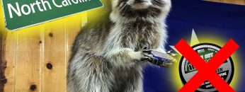 [ID: -3bMrBJYTVo] Youtube Automatic