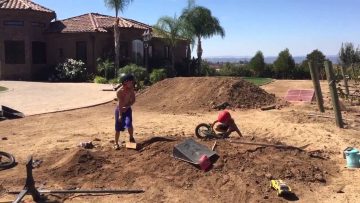 [ID: e6HeQjRlqD8] Youtube Automatic