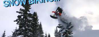 [ID: mSOmftbGgNo] Youtube Automatic