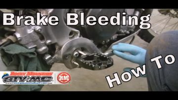 [ID: RxQkCpiQ7Y0] Youtube Automatic