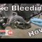 Motorcycle and ATV Brake Bleeding