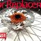 Motorcycle Brake Rotor Replacement