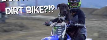 [ID: shqCi5fQkVY] Youtube Automatic