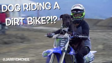 [ID: shqCi5fQkVY] Youtube Automatic