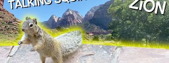 Private: [ID: 3ABz-Ng9eDY] Youtube Automatic