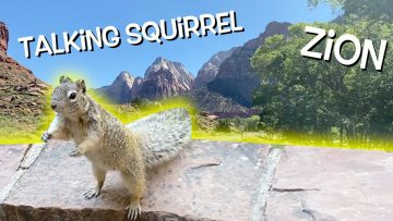 Private: [ID: 3ABz-Ng9eDY] Youtube Automatic