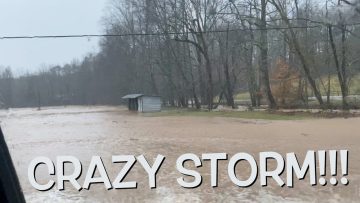 Private: [ID: W6fG4IRfBq0] Youtube Automatic