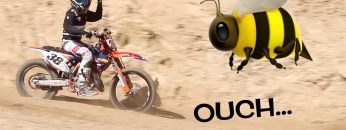 Private: [ID: y6k9w0rGVgU] Youtube Automatic