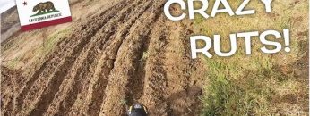 Private: [ID: ZKQw1YOQ2j4] Youtube Automatic