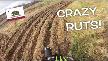 Private: [ID: ZKQw1YOQ2j4] Youtube Automatic