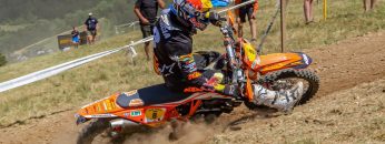 Trefle-Lozerien-AMV-2022-the-Final-Battle-Day-3-Highlights