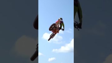 The-Biggest-Whip-Ive-Ever-Thrown