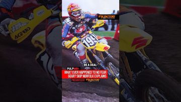 No-Fear-was-ALMOST-Bought-by-Nike-shorts